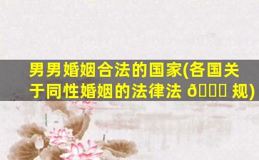 男男婚姻合法的国家(各国关于同性婚姻的法律法 🍁 规)